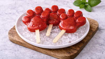 Recette Glaces Zootopie