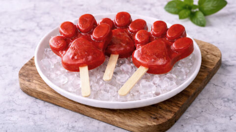 Recette Glaces Zootopie