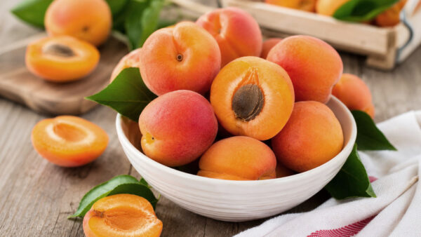 Tout Savoir Sur L'abricot Saison, Conservation, Bienfaits Et Recettes